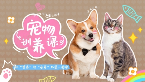 关于开展宠物驯养技能体验课程的通知