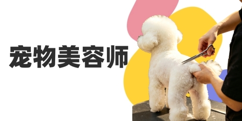 关于开展宠物美容师职业技能等级认定培训课程的通知