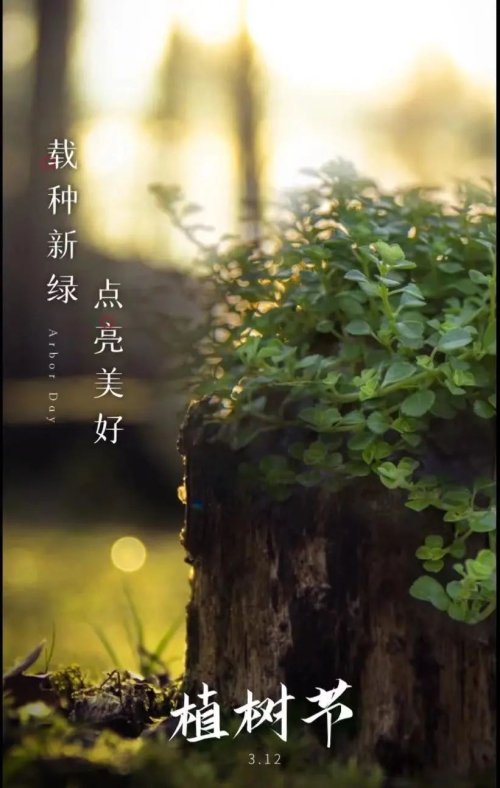 植树节｜“植”此青绿，树立榜样！