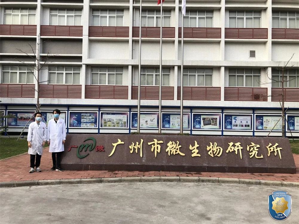 图五